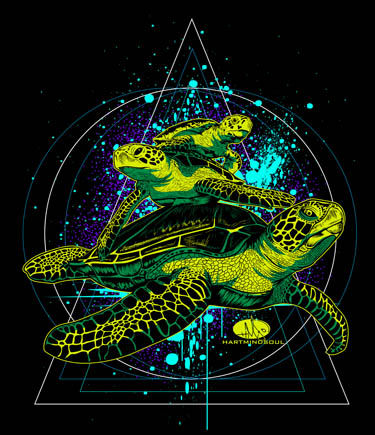 save the turtles hart mind soul