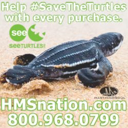 HMS nation save the turtles
