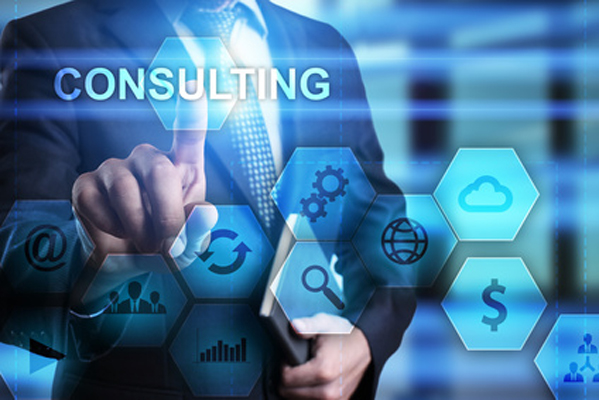 Consulting Services HMS nation