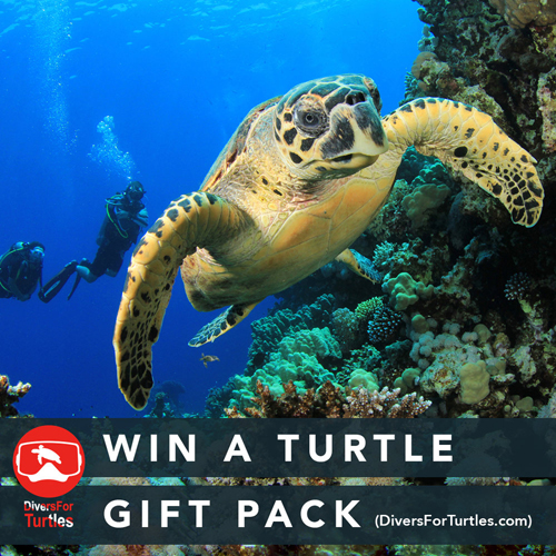 Win Divers For Turtles Gift Pack