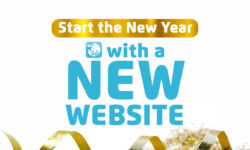 Get a new website for your business